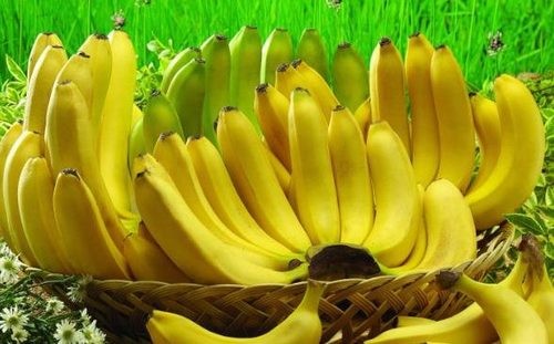 Chuối dễ gây buồn ngủ