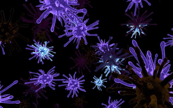 Virus Rhinovirus là nguyên nhân cảm cúm trực tiếp cho cơ thể